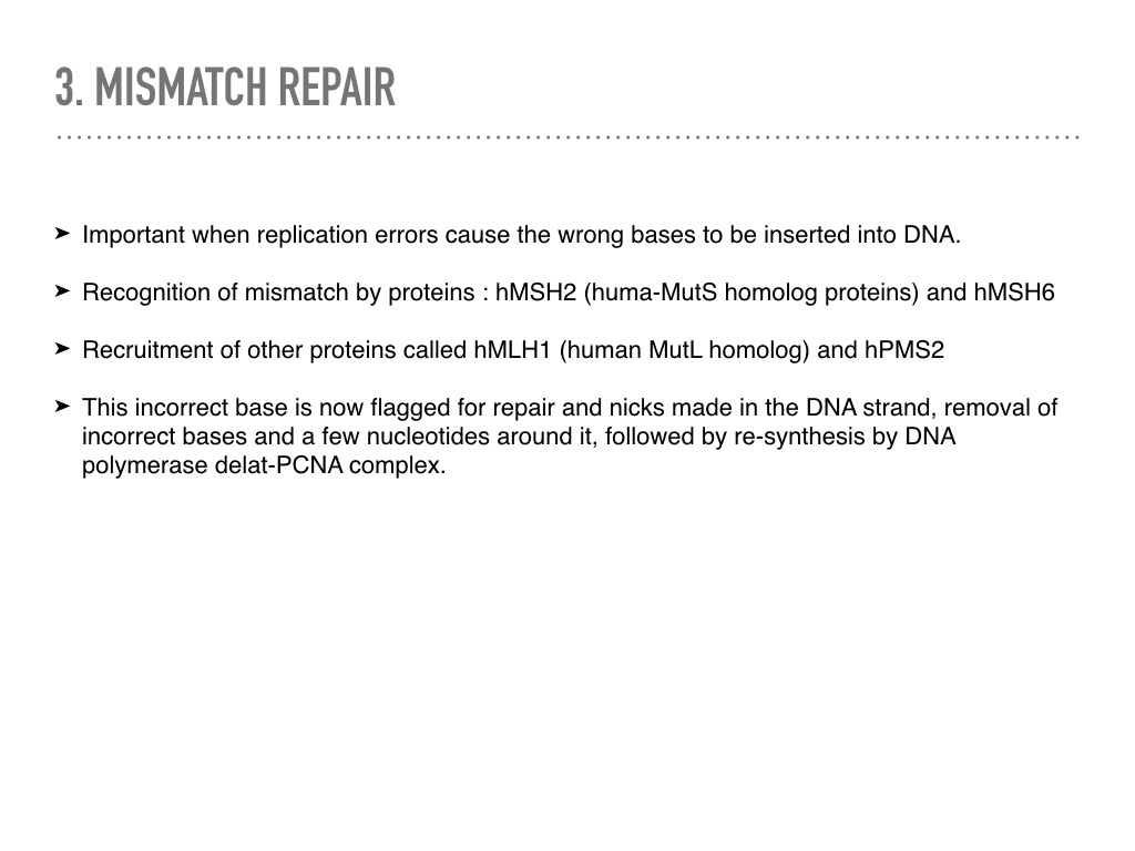 Nucleotide Excision Repair – The CLINICAL ONCOLOGY REGISTRAR